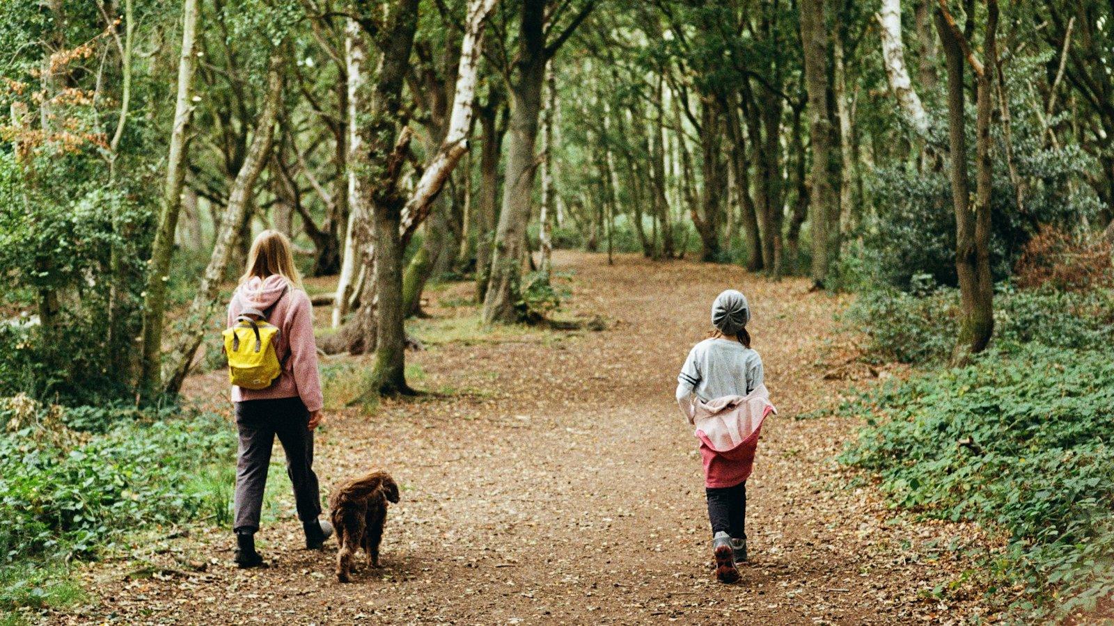 Family walking a dog on a forest trail